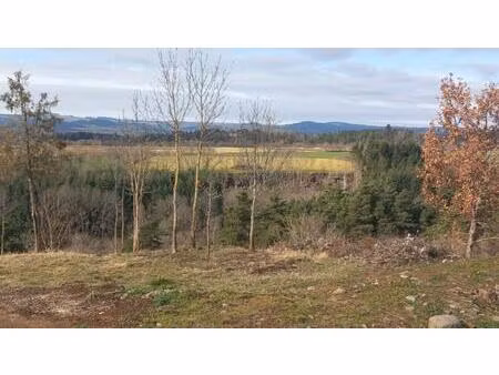 achat terrain st paulien 43350