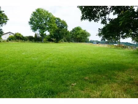 achat terrain 1 798m² lapte 43200