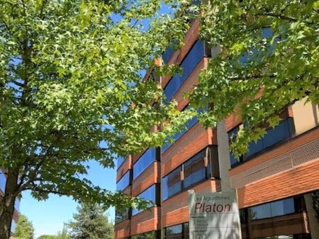 location local professionnel 233m²