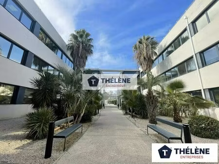 location local professionnel 532m² perols 34470