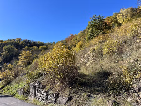 achat terrain 3 117m² ceyssac 43000