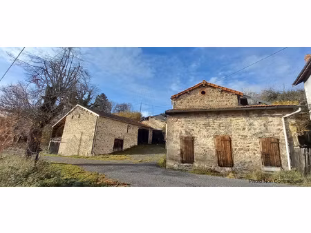 achat maison 6 pièces 152m² laprugne 03250