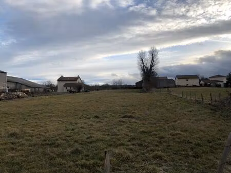 achat terrain 1 314m² chaspuzac 43320