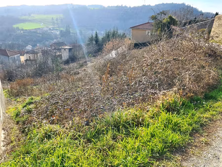 achat terrain 899m² pont salomon 43330