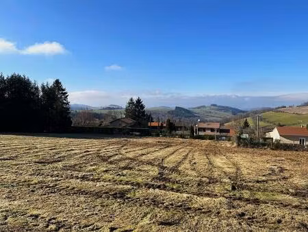 achat terrain 1 000m² violay 42780