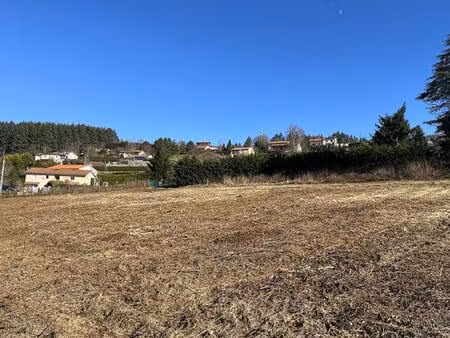 achat terrain 865m² violay 42780