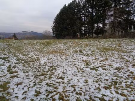 achat terrain 3 488m² sanssac l eglise 43320