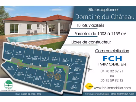 achat terrain 1 003m² bellerive sur allier 03700
