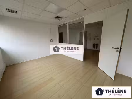 location local professionnel 162m² baillargues 34670