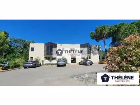 location local professionnel 500m² montferrier sur lez 34980
