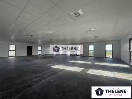 location local professionnel 300m² villeneuve les maguelone 34750