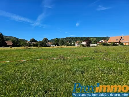 achat terrain 1 125m² le grand lemps 38690
