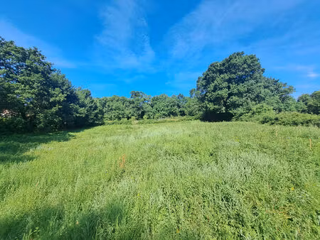 achat terrain 1 966m²