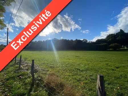 achat terrain 16 650m² champs sur tarentaine marchal 15270