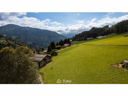 achat terrain le grand bornand 74450