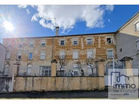 achat immeuble panissieres 42360