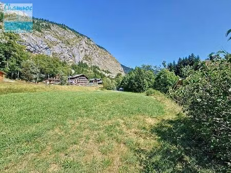 achat terrain 1 880m² abondance 74360