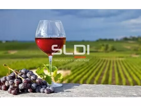 achat local commercial 282m² villie morgon 69910