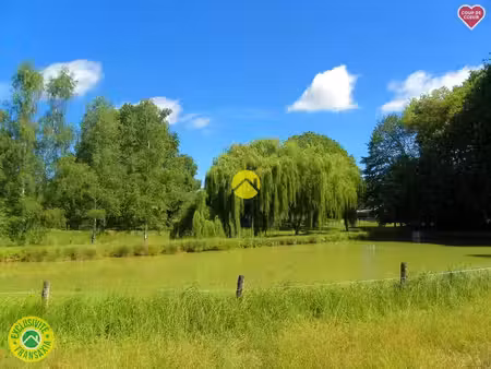 étang au calme