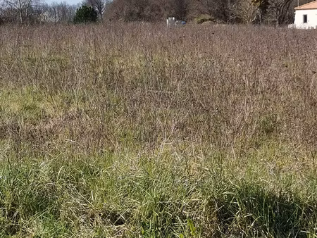 achat terrain 1 036m² bois 17240