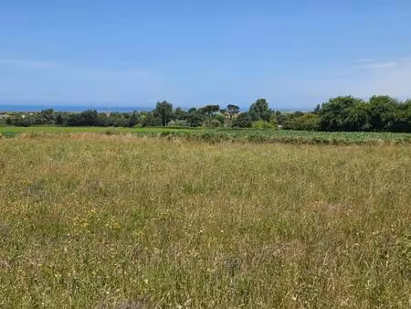 vente terrain 622 m² lampaul-ploudalmézeau (29830)