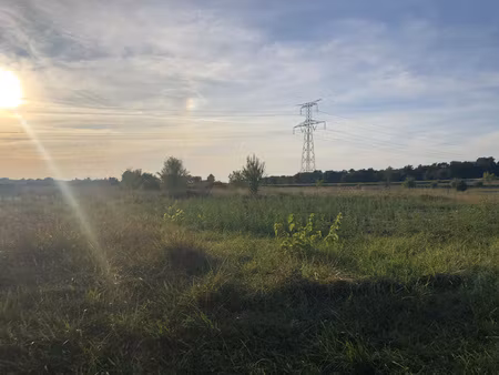 achat terrain 1 643m² bois 17240