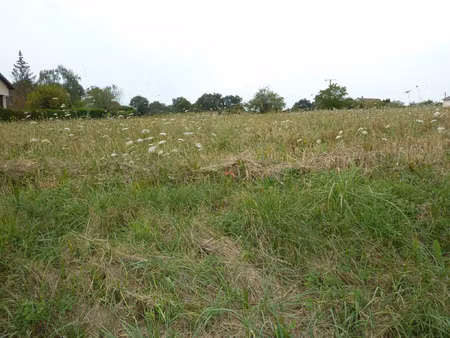 achat terrain 3 500m² la trimouille 86290