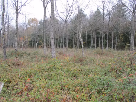 achat terrain 1 100m² vaux 86700