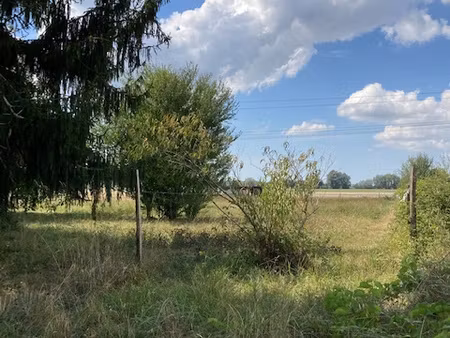 achat terrain 2 200m² bois 17240