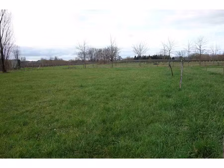 achat terrain 1 005m² campugnan 33390