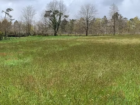 achat terrain 1 030m² st bonnet sur gironde 17150