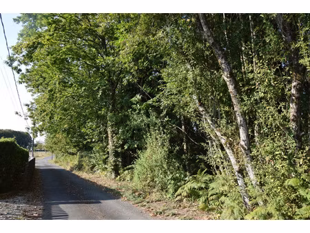 achat terrain 3 460m² st sornin lavolps 19230