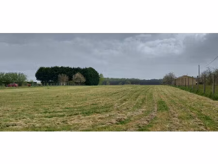 achat terrain 970m²