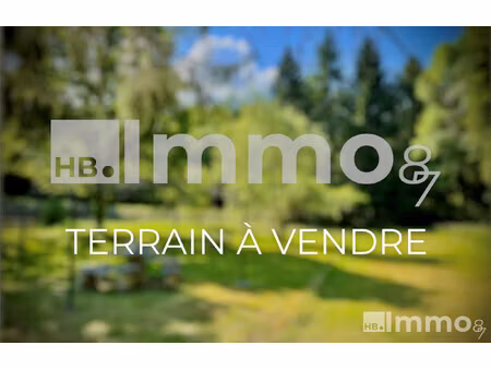 achat terrain 540m² le palais sur vienne 87410