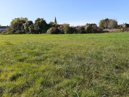 achat terrain 2 300m² avy 17800