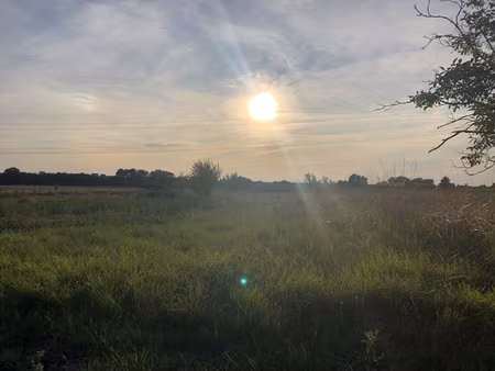 achat terrain 3 286m² bois 17240