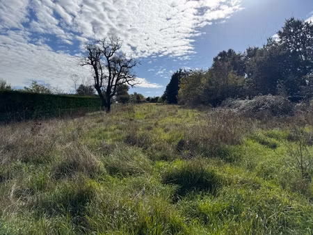 achat terrain 2 665m² montmorillon 86500