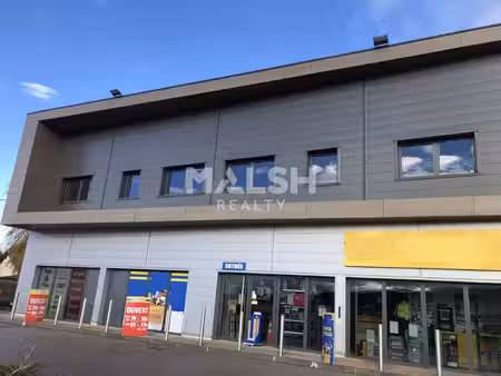 location local professionnel 182m² genay 69730