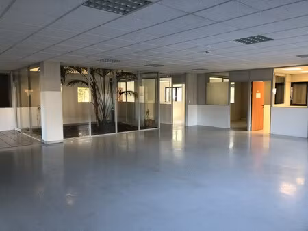 location local professionnel 429m²