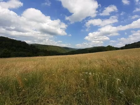 achat terrain 4 572m² argentat 19400