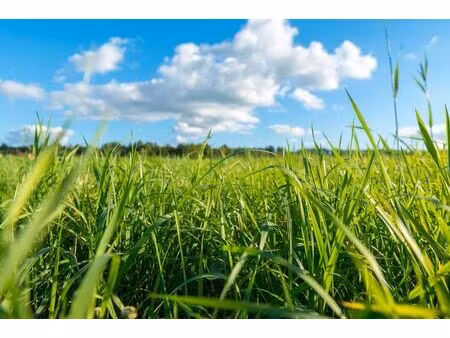 achat terrain 590m² landrais 17290