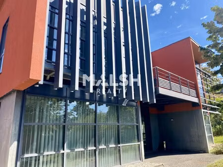 location local professionnel 400m²