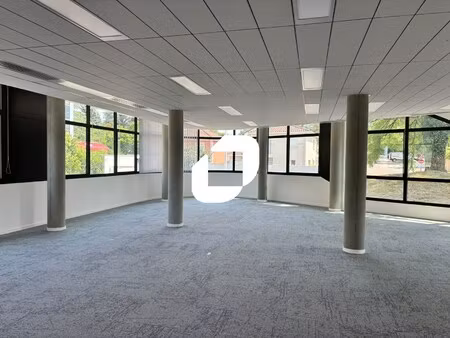 location local professionnel 243m² champagne au mont d or 69410