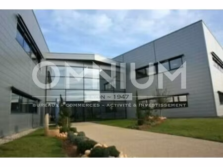 location local professionnel 207m² pusignan 69330