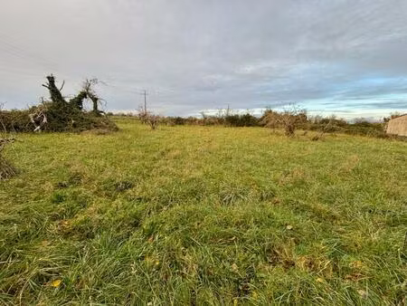 achat terrain 1 348m² echire 79410