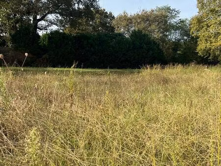 achat terrain 1 317m² candresse 40180