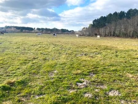 achat terrain 964m² mezos 40170