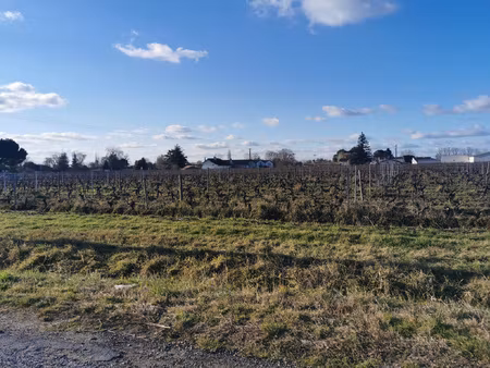 achat terrain 661m² st emilion 33330