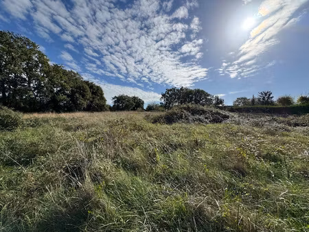 achat terrain 9 310m² montmorillon 86500