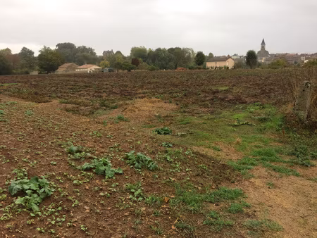 achat terrain 8 195m² sanxay 86600